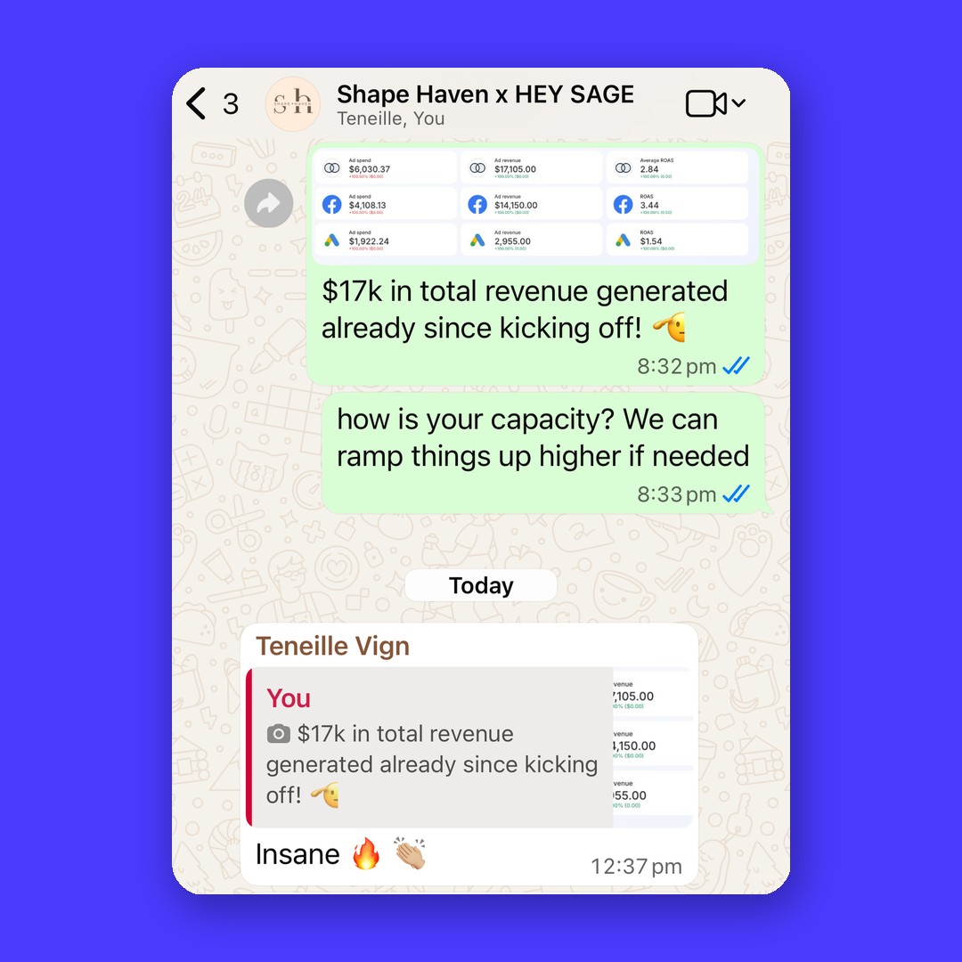 Advertising results conversation between Shape Haven and Hey Sage