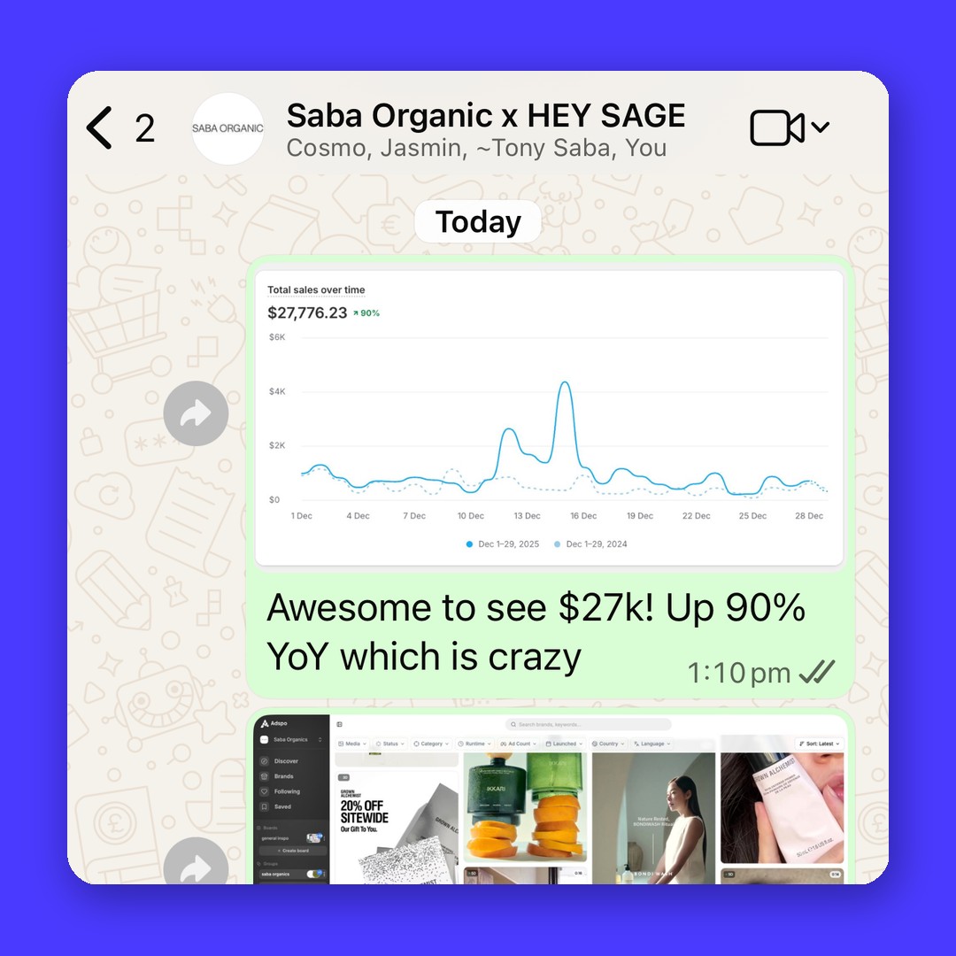 Advertising results conversation between Saba Organic and Hey Sage