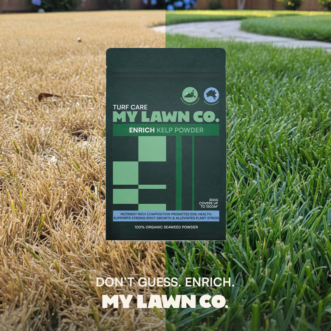 My Lawn Co creative example